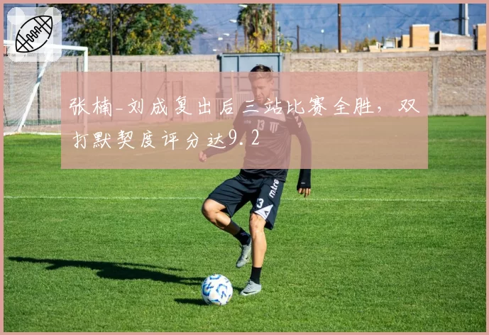 张楠_刘成复出后三站比赛全胜，双打默契度评分达9.2