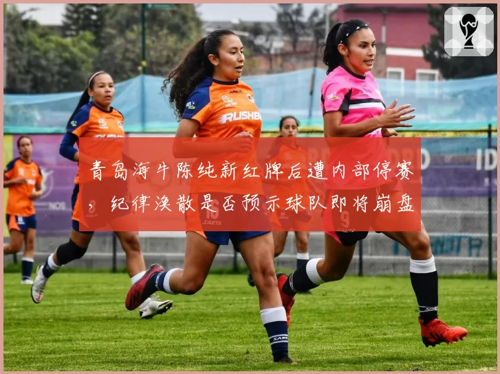 青岛海牛陈纯新红牌后遭内部停赛,纪律涣散是否预示球队即将崩盘?