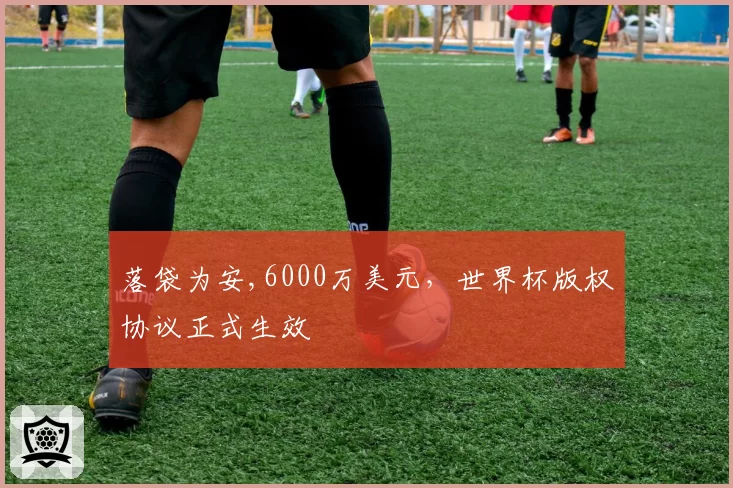 落袋为安,6000万美元，世界杯版权协议正式生效