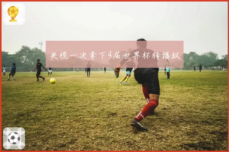 央视一次拿下4届世界杯转播权
