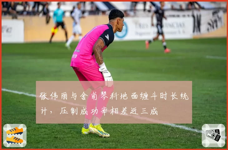 张伟丽与舍甫琴科地面缠斗时长统计，压制成功率相差近三成