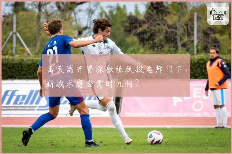 高芙离开资深教练改投名师门下,新战术磨合需时几何?